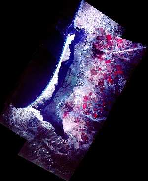 click the image for view big image (size 1,020 kb)