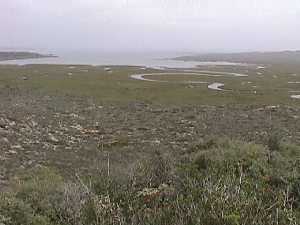 Selecciona la imagen para ver imagen grande