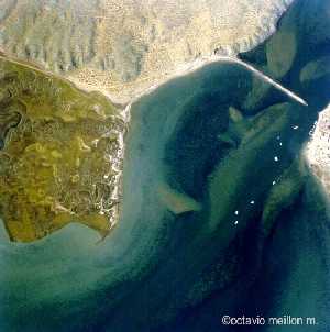 Selecciona la image para ver imagen grande