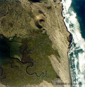 Selecciona la image para ver imagen grande