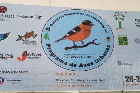 3er Encuentro Nacional de Coordinadores del Programa de Aves Urbanas de México